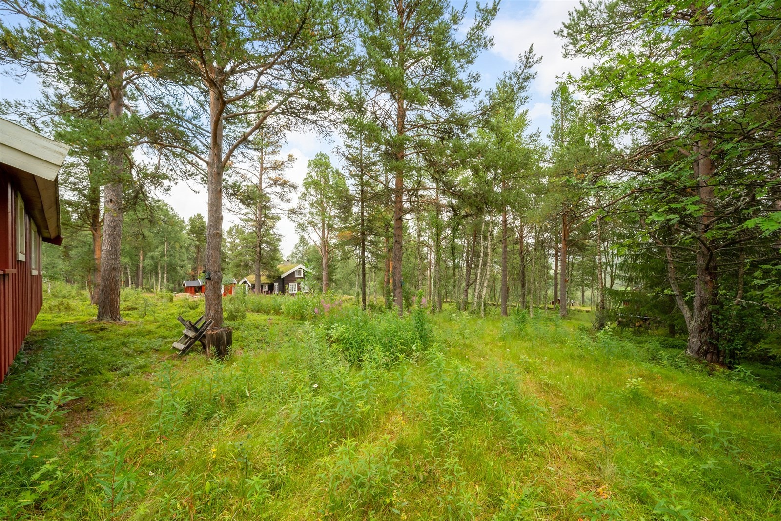 Uteområde Galleribilde