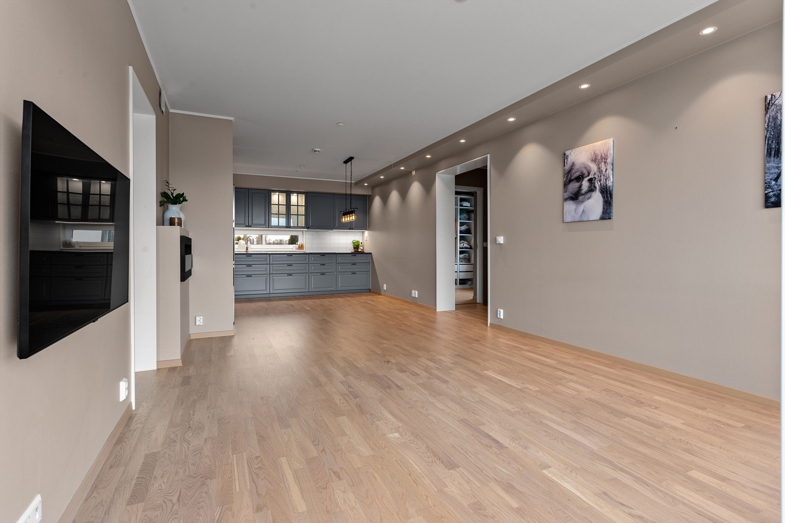 Stue/spisestue Galleribilde