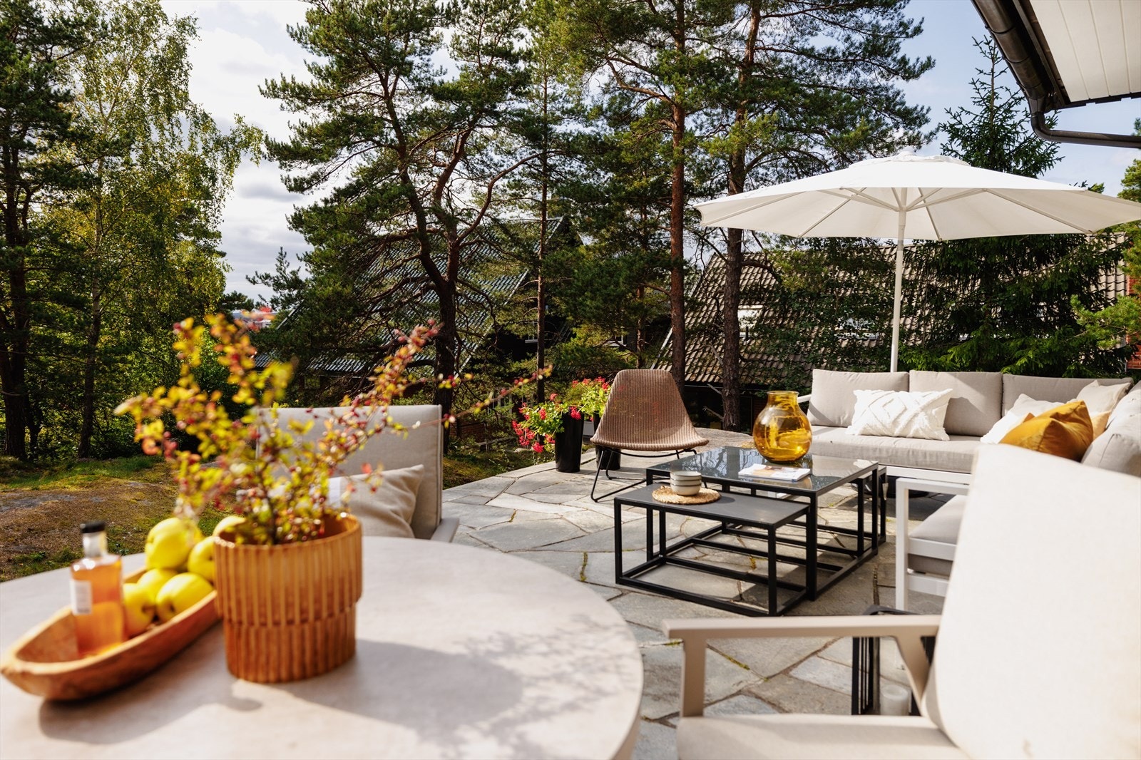 Du føler at du bor i skogen. Galleribilde