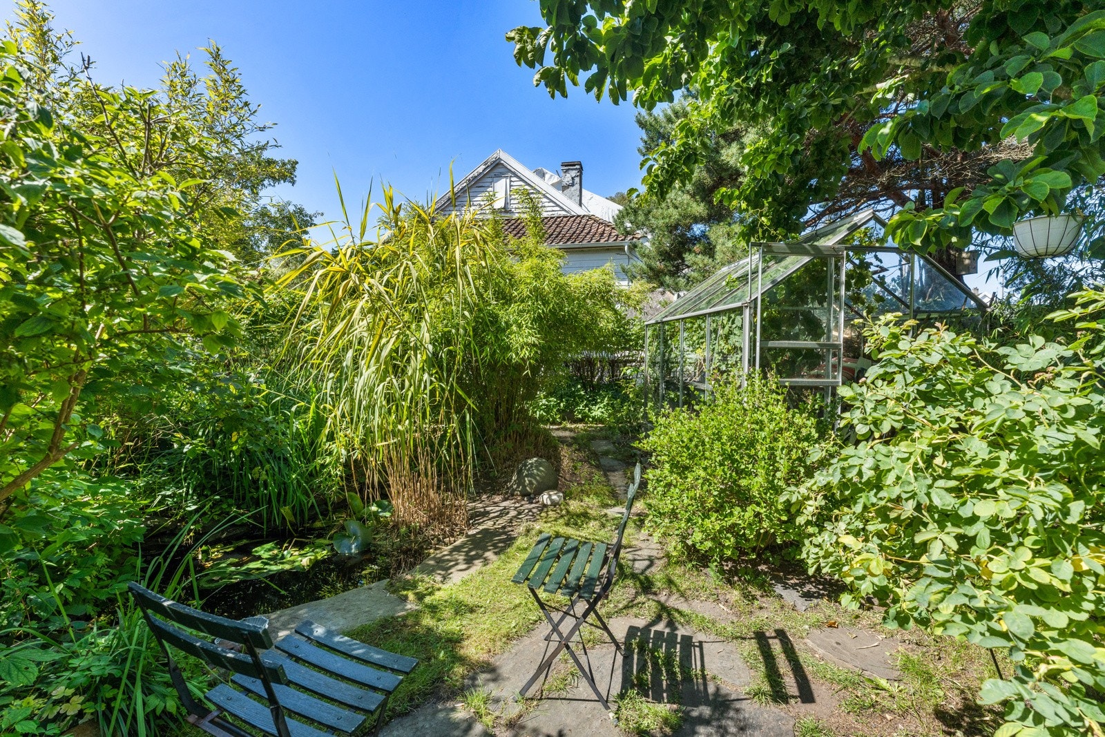 Fiskedam og drivhus. Galleribilde