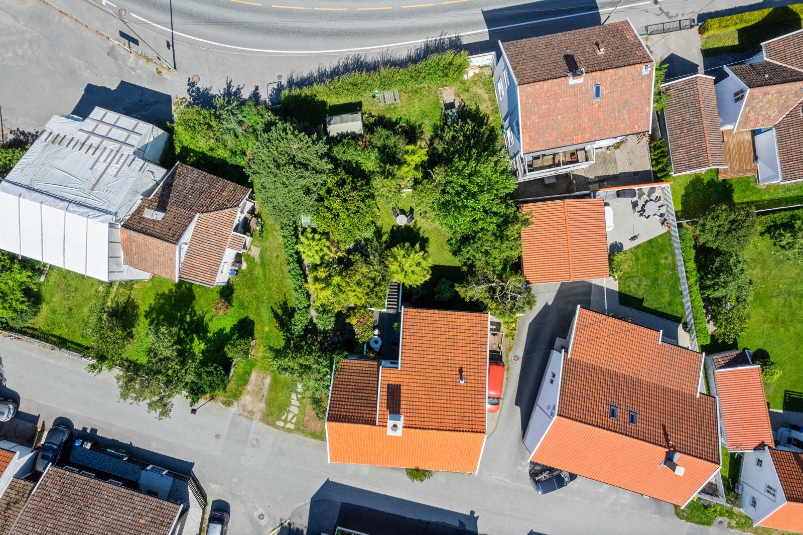 Oversiktbilde tomten. Galleribilde