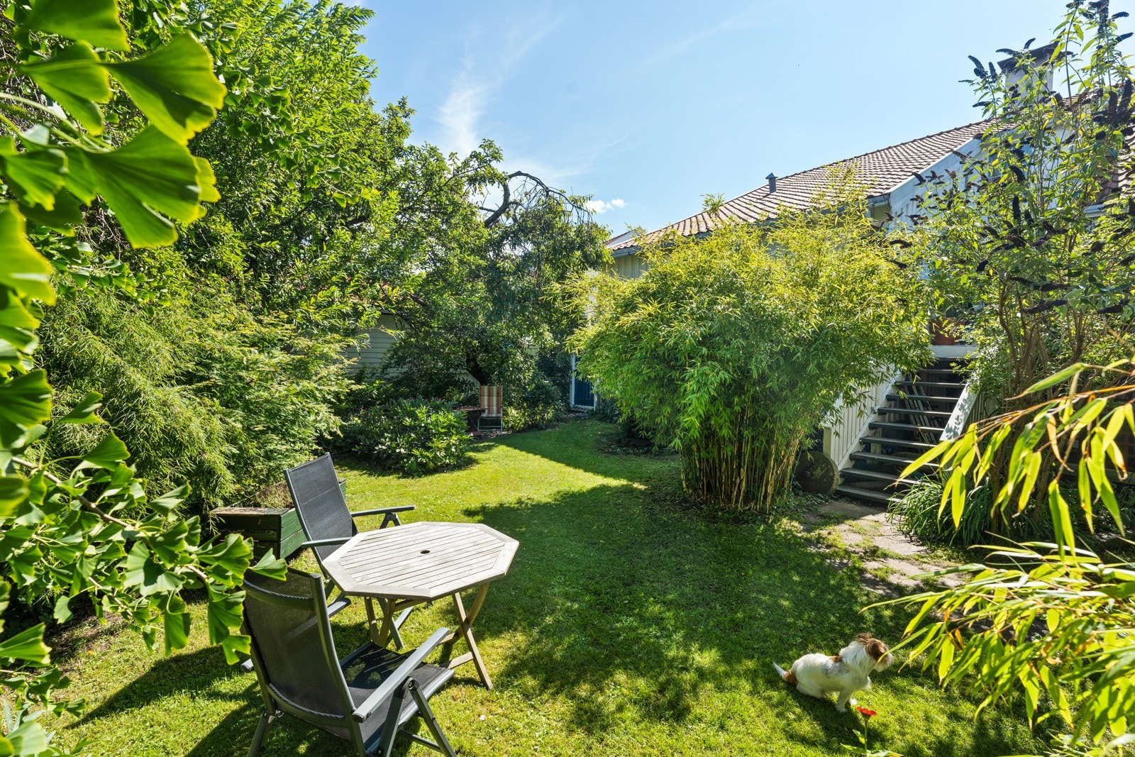 Frodig og flott. Galleribilde