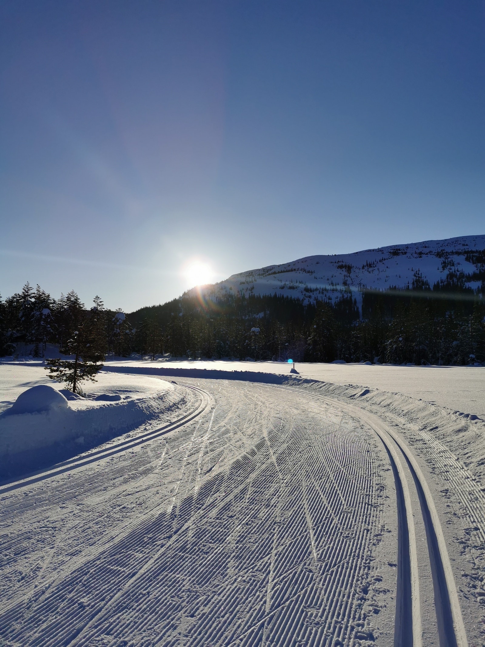 Flotte skiløyper i slakt terreng rett utenfor hyttedøren. Ski in / ski out! Galleribilde