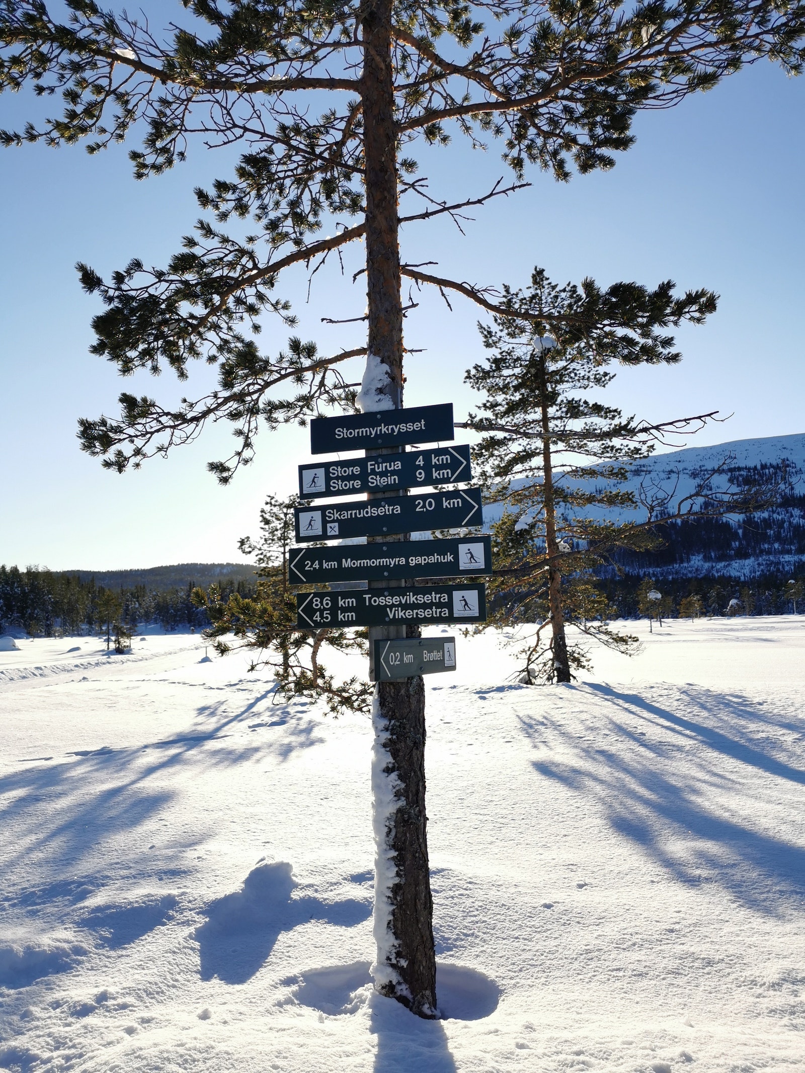 Det er milevis med skiløyper på Vikerfjell og løypene holder høy standard. Galleribilde