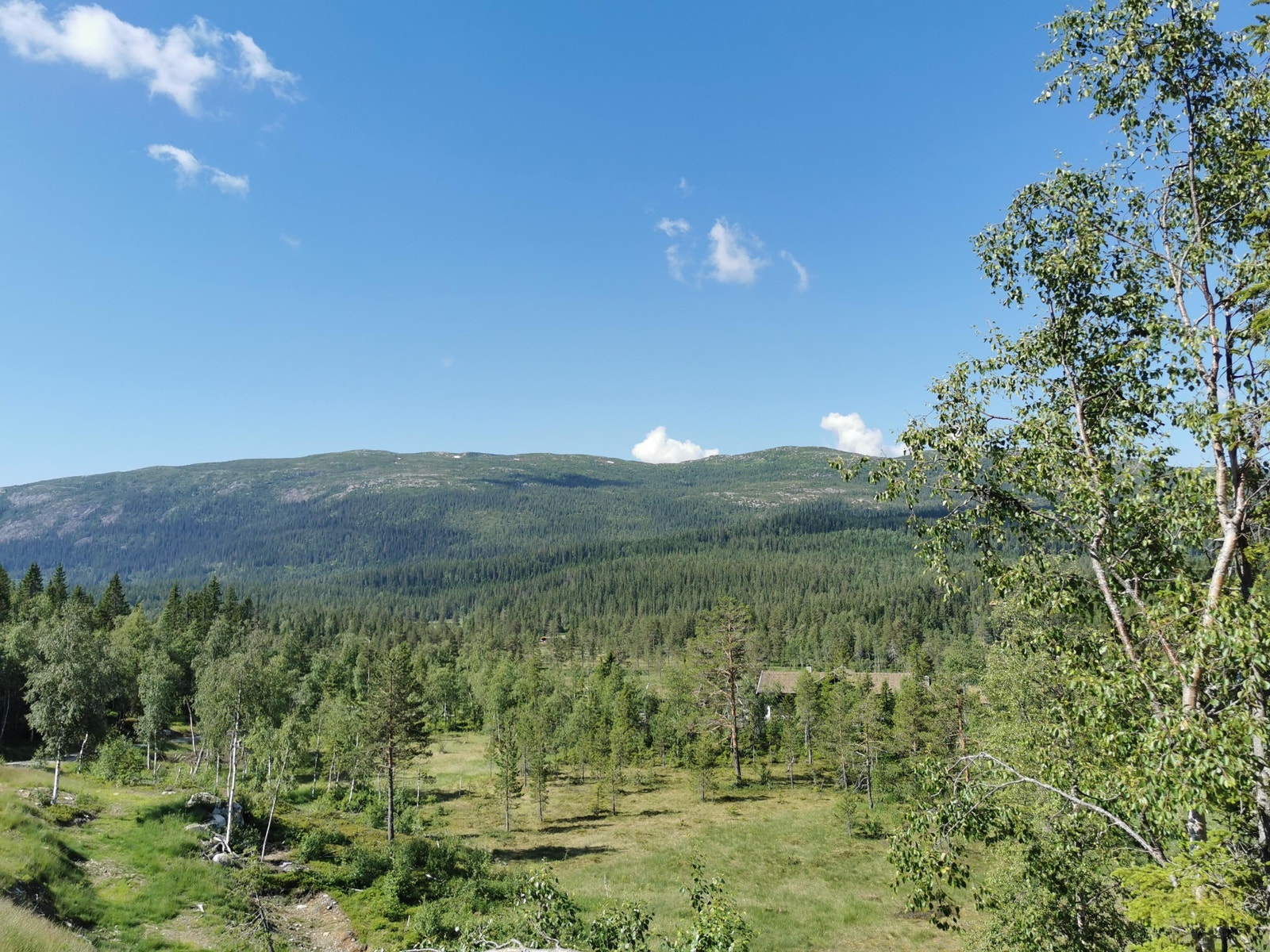 Denne utsikten mot Vikerfjellet går man aldri lei. Bilde er tatt fra den snaue 4 mål store tomten man blir eier av. Galleribilde