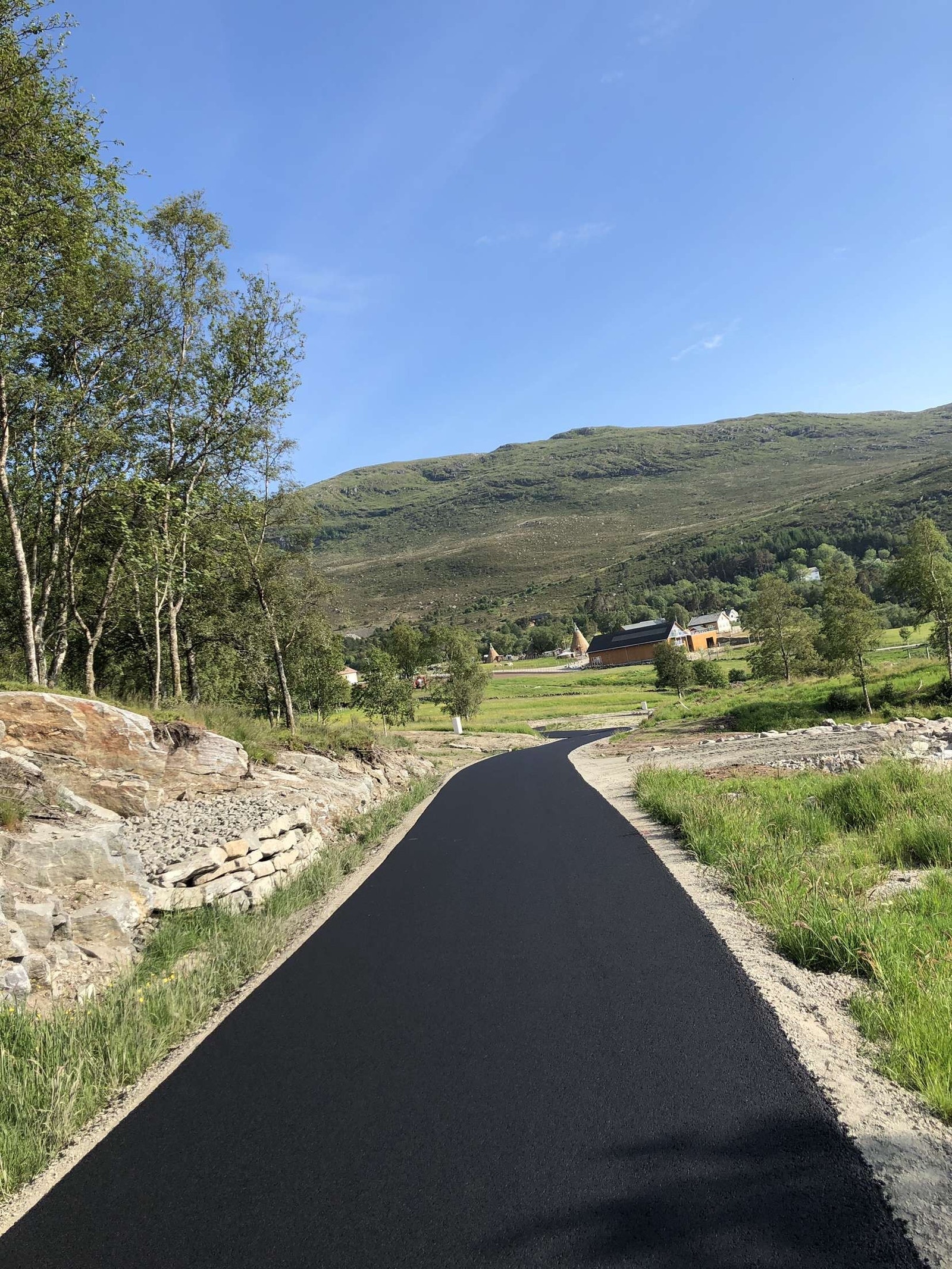 Vei ned i hyttefeltet Galleribilde