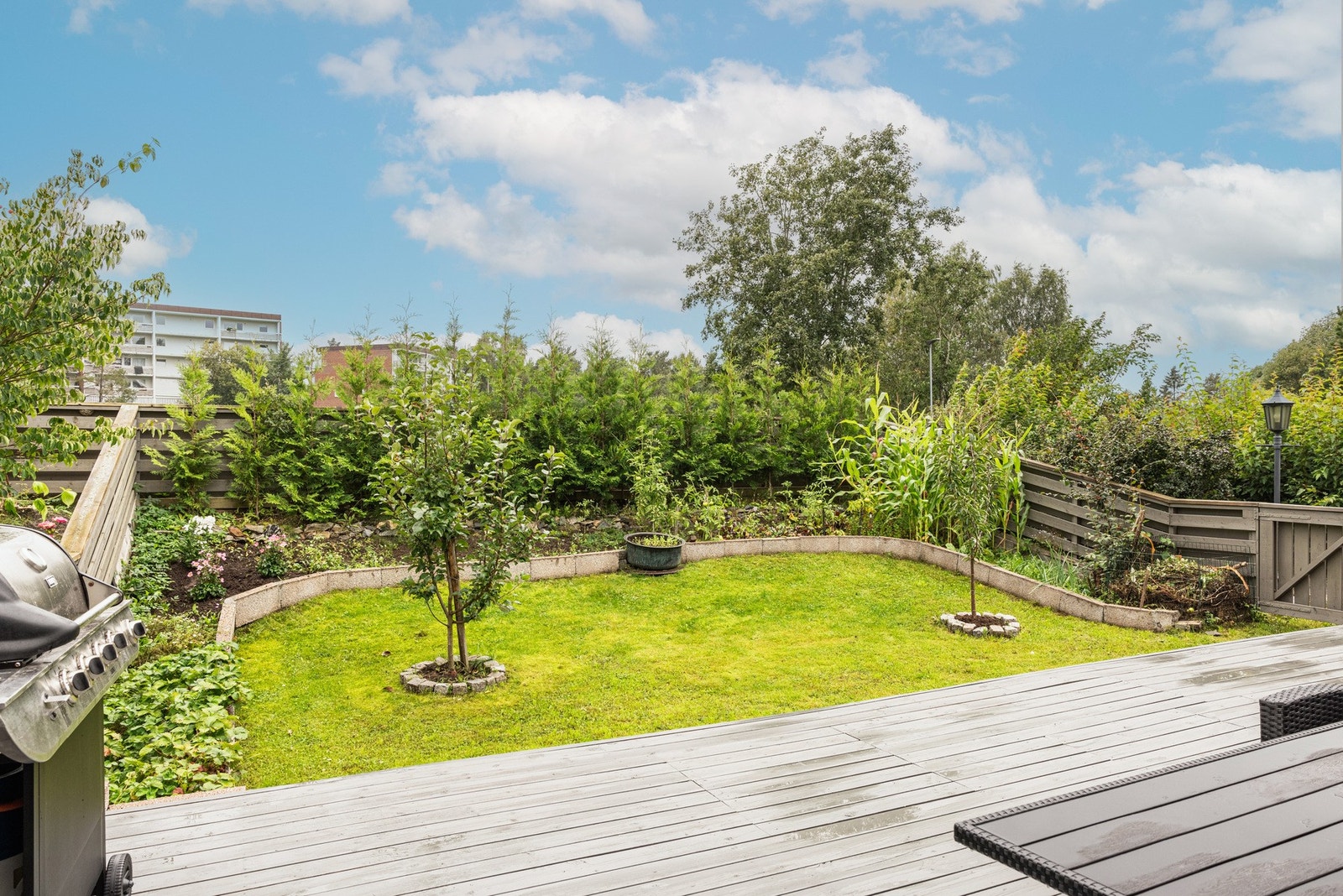 Idyllisk beplantning med ulike blomster og planter. Galleribilde