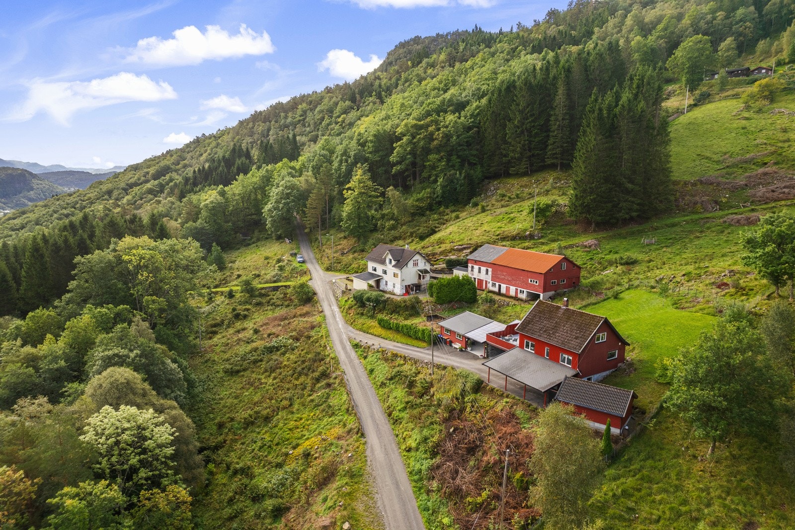 Oversikt. Galleribilde