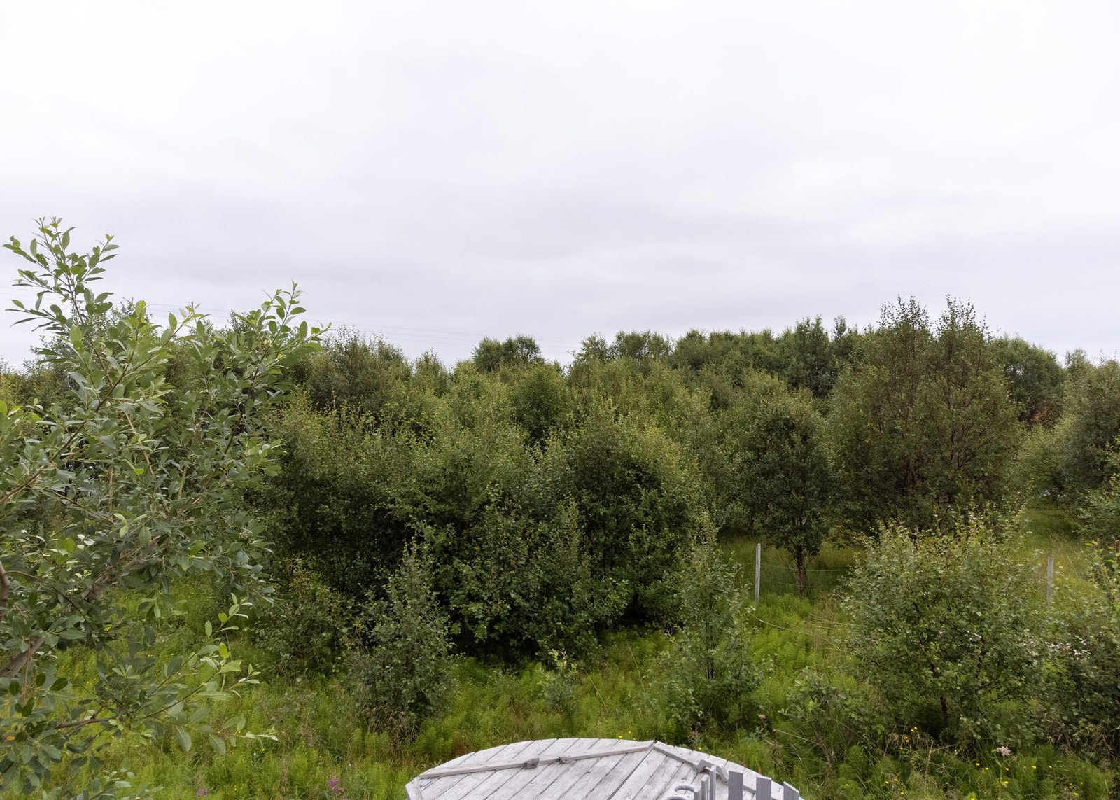 Badestampen står relativt usjenert til Galleribilde