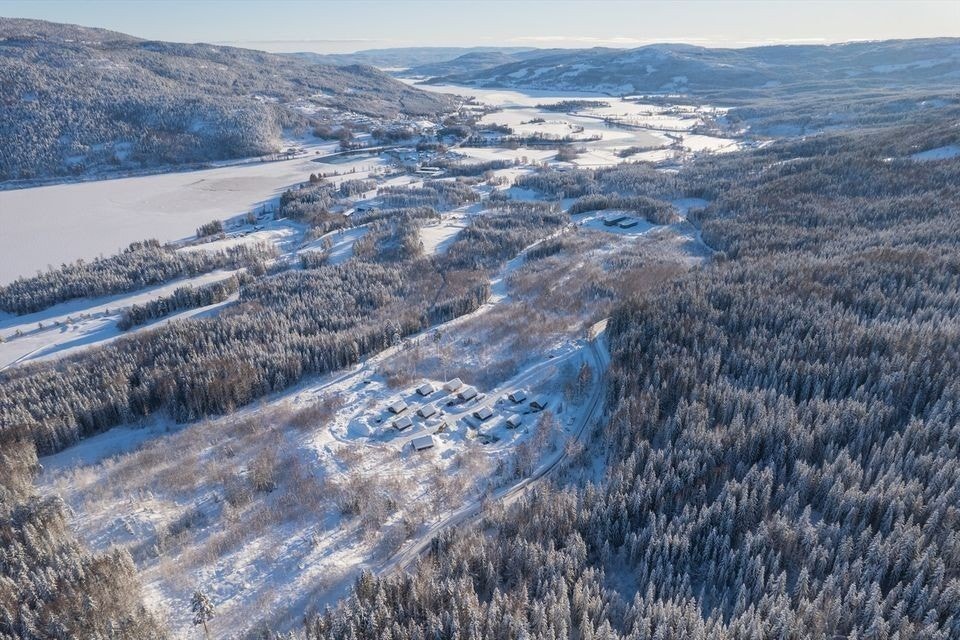 Selgers private bilde Galleribilde