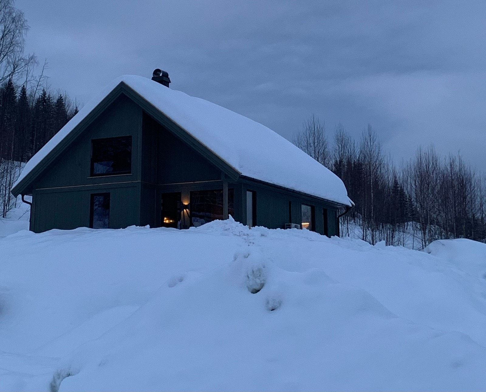 Selgers private bilde Galleribilde