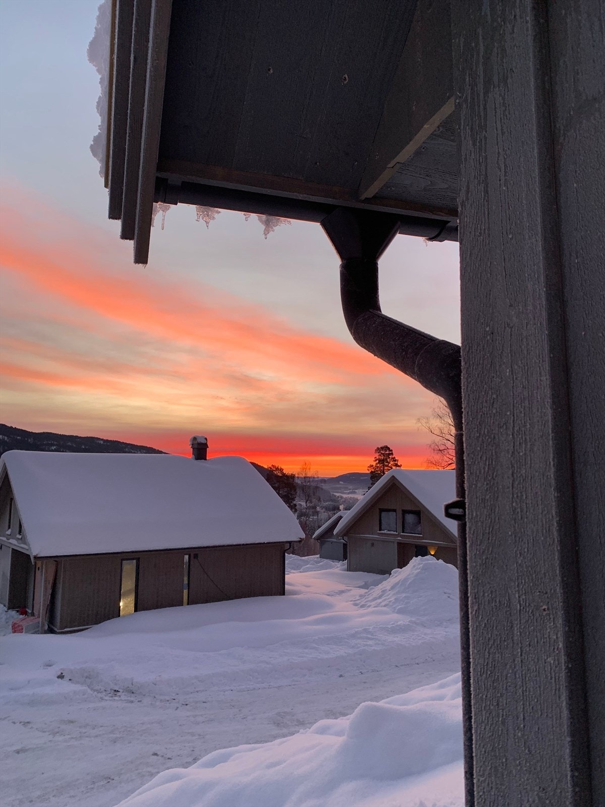 Selgers private bilde Galleribilde