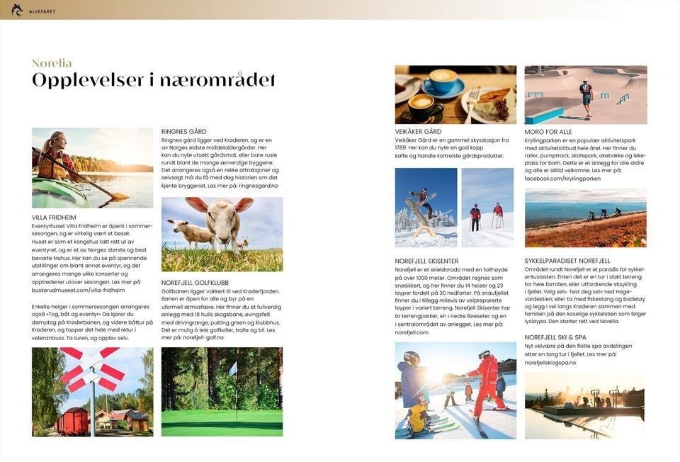 Selgers private bilde Galleribilde