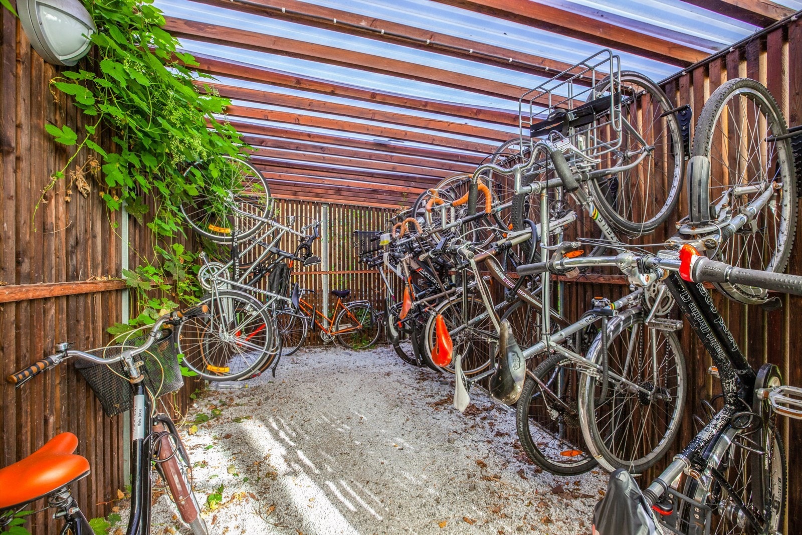 Felles sykkelparkering Galleribilde
