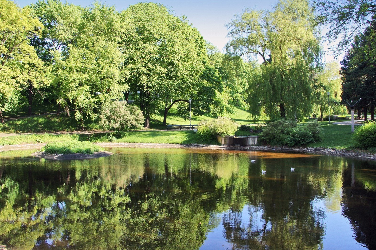 St.Hanshaugen park med nydelig fjordutsikt, uteservering og tuftepark Galleribilde