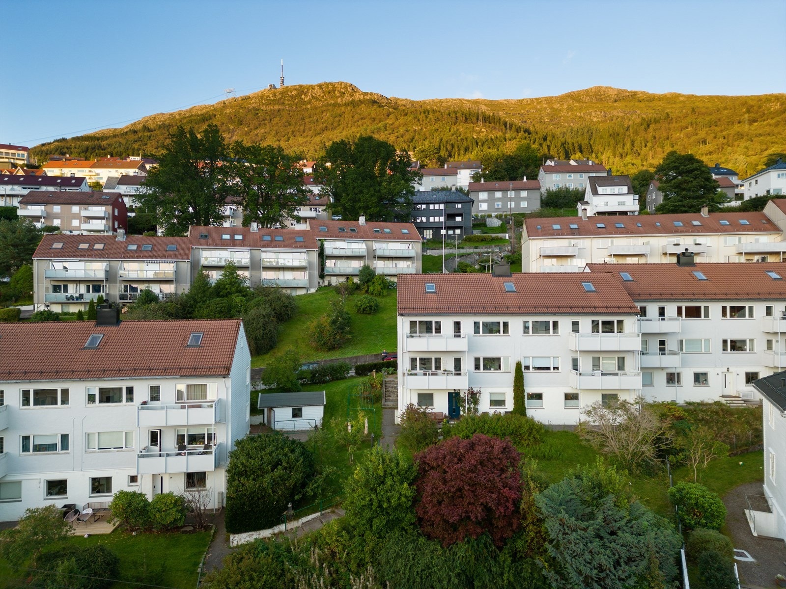 Egen gangsti ned til Bekkeveien, en snarvei til butikken! Du er alllerede på vei opp Ulrikken når du går ut døren. Galleribilde