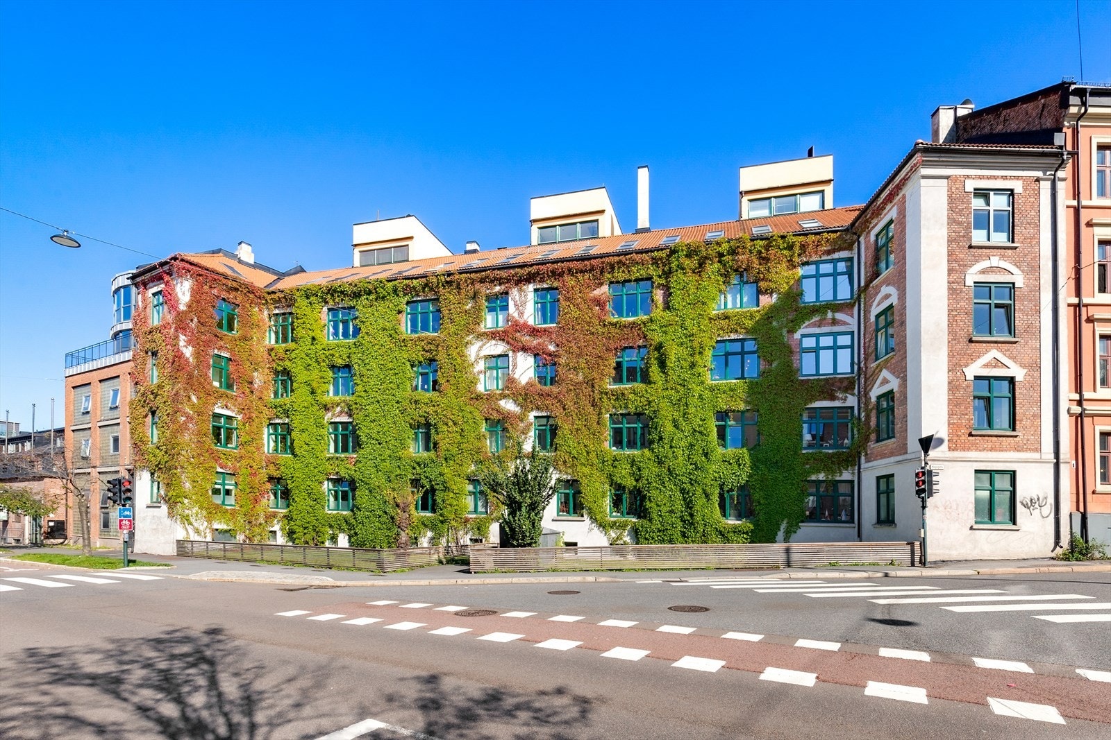 Velkommen til Hagegata 46C! Galleribilde