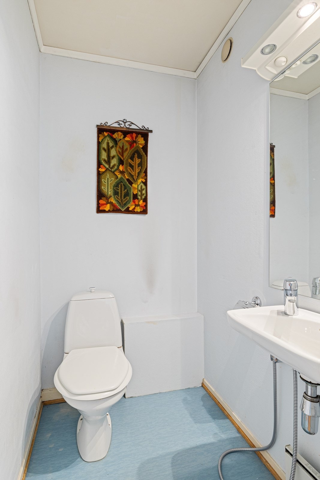 Eget toalett Galleribilde