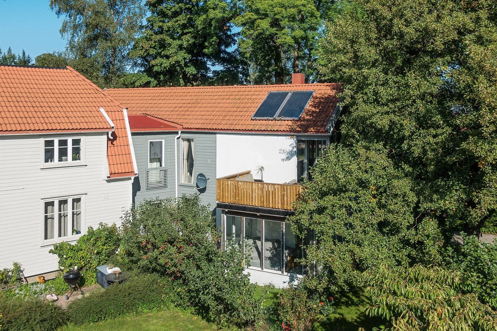 Grønn "lunge" Galleribilde