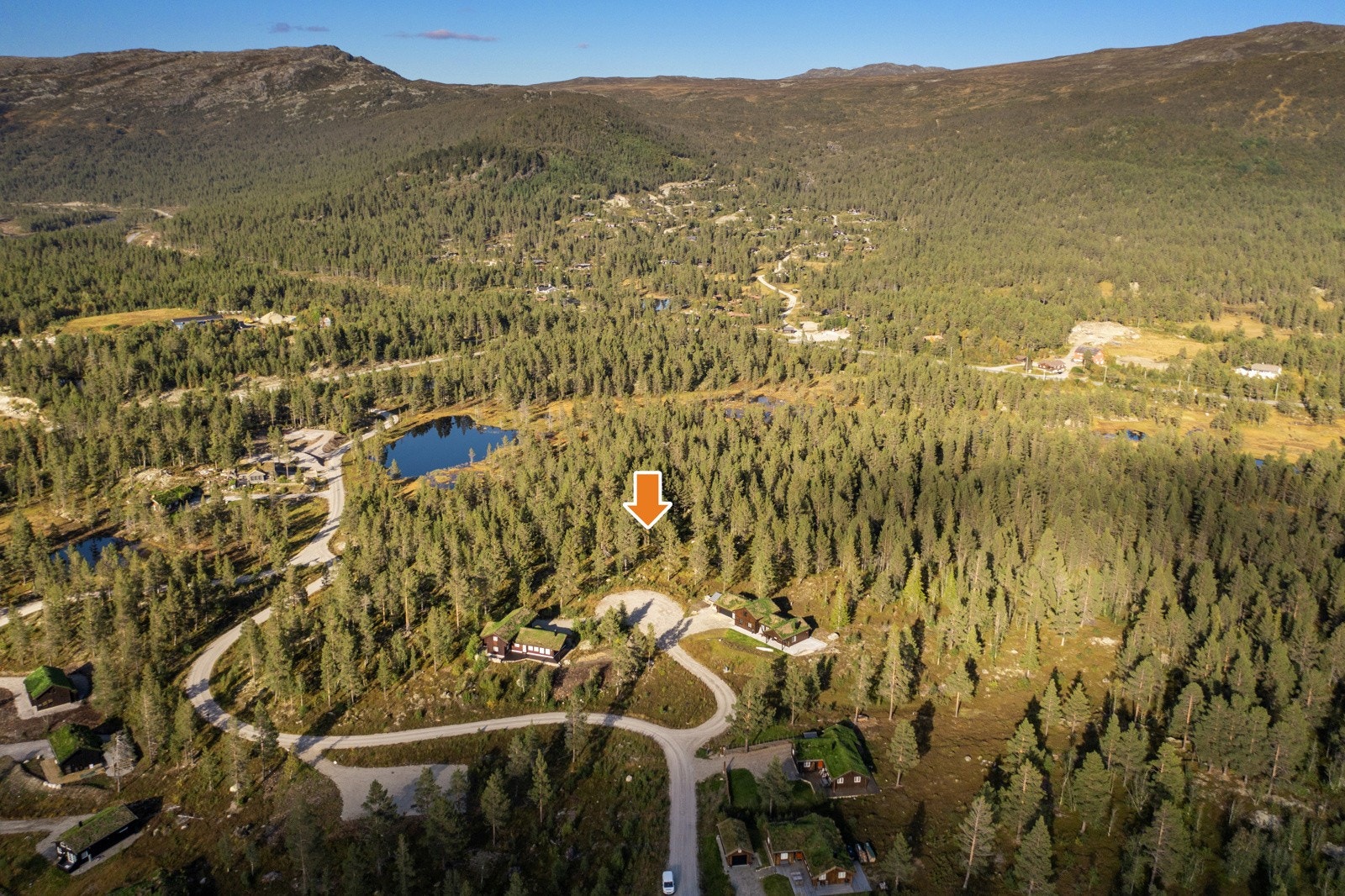 01 Med pil Galleribilde