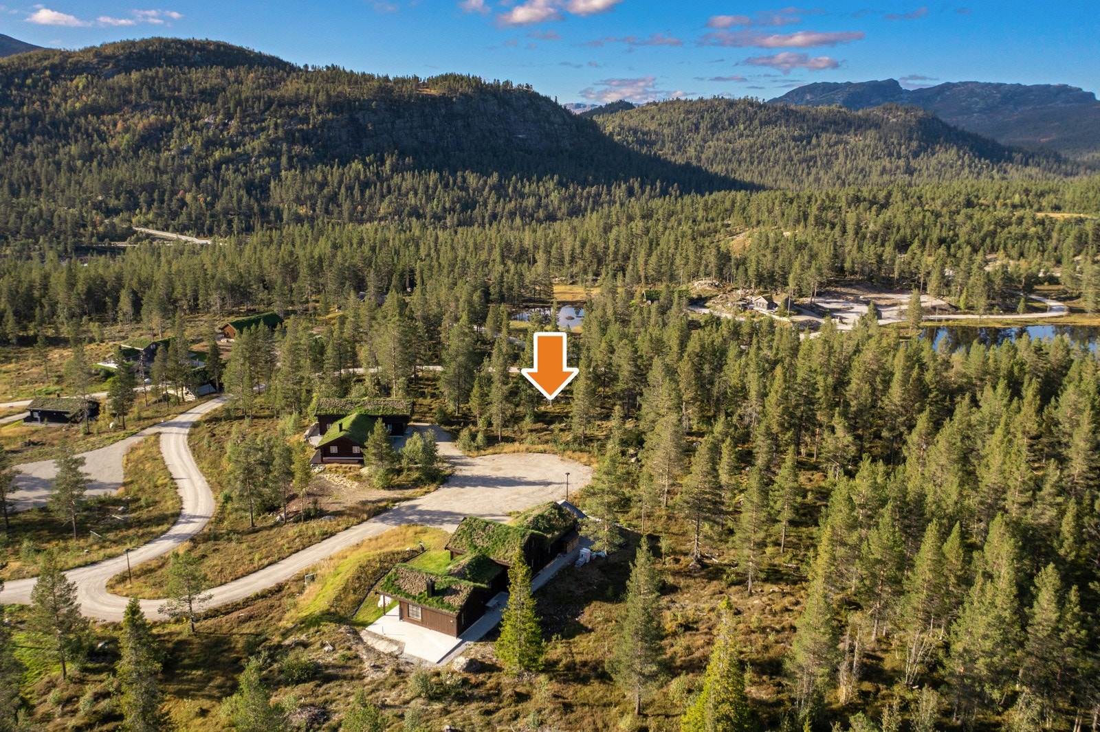 08 Med pil Galleribilde