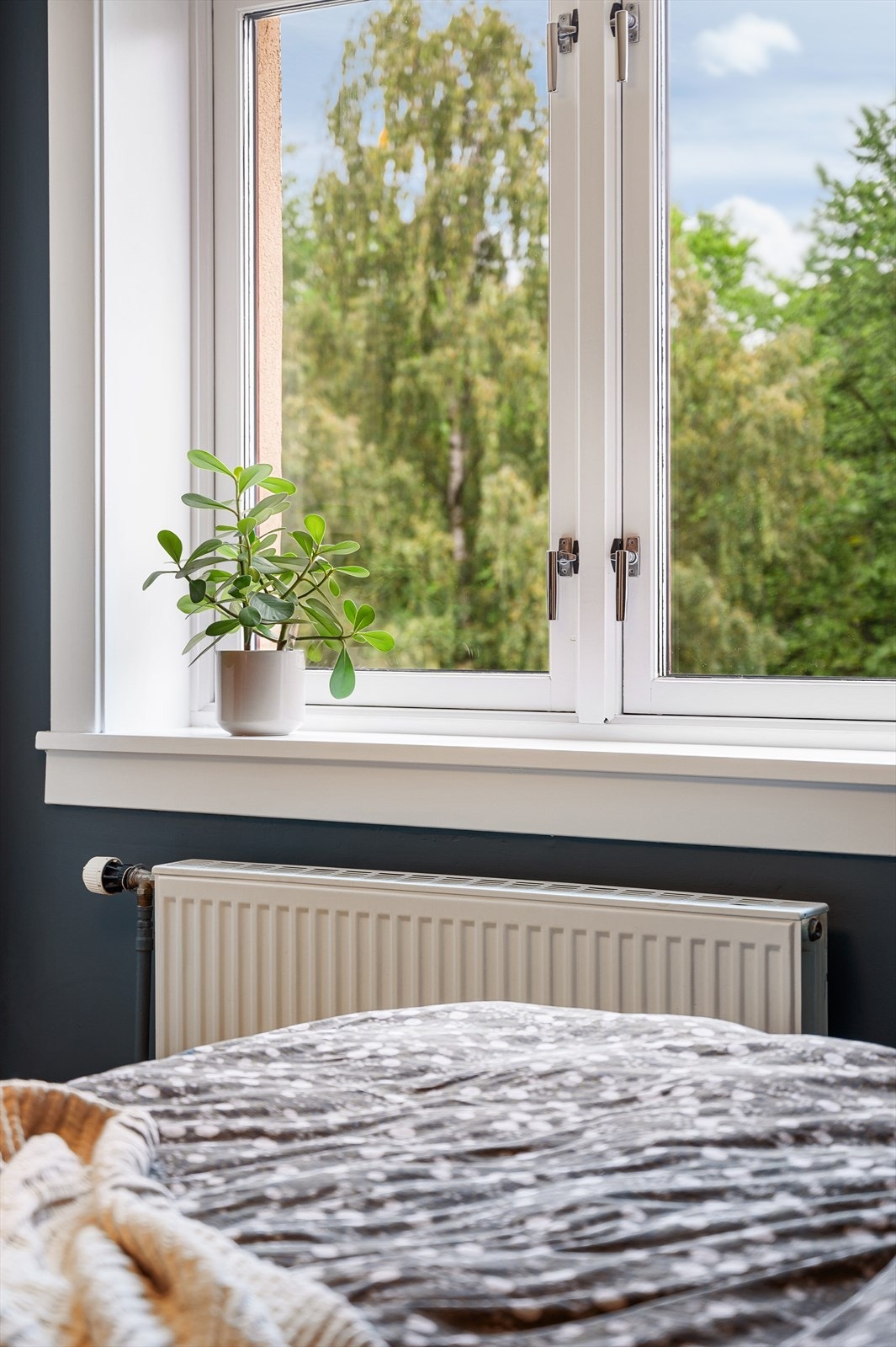 Soverommet vender også inn mot bakgård. Galleribilde