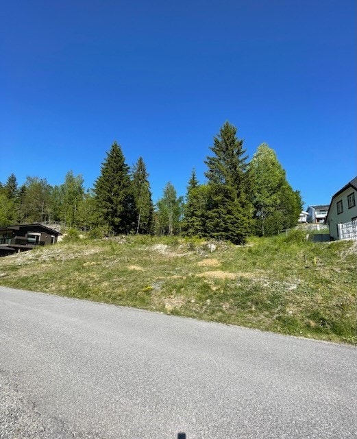 2.jpg Galleribilde
