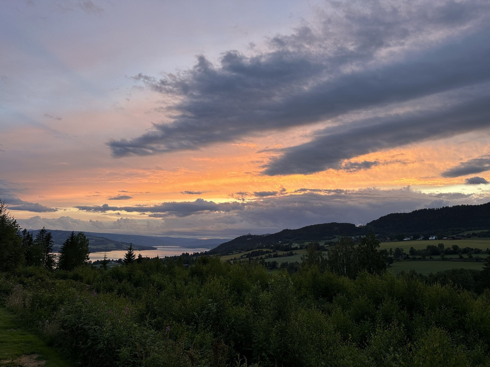 Selgers eget bilde. Galleribilde