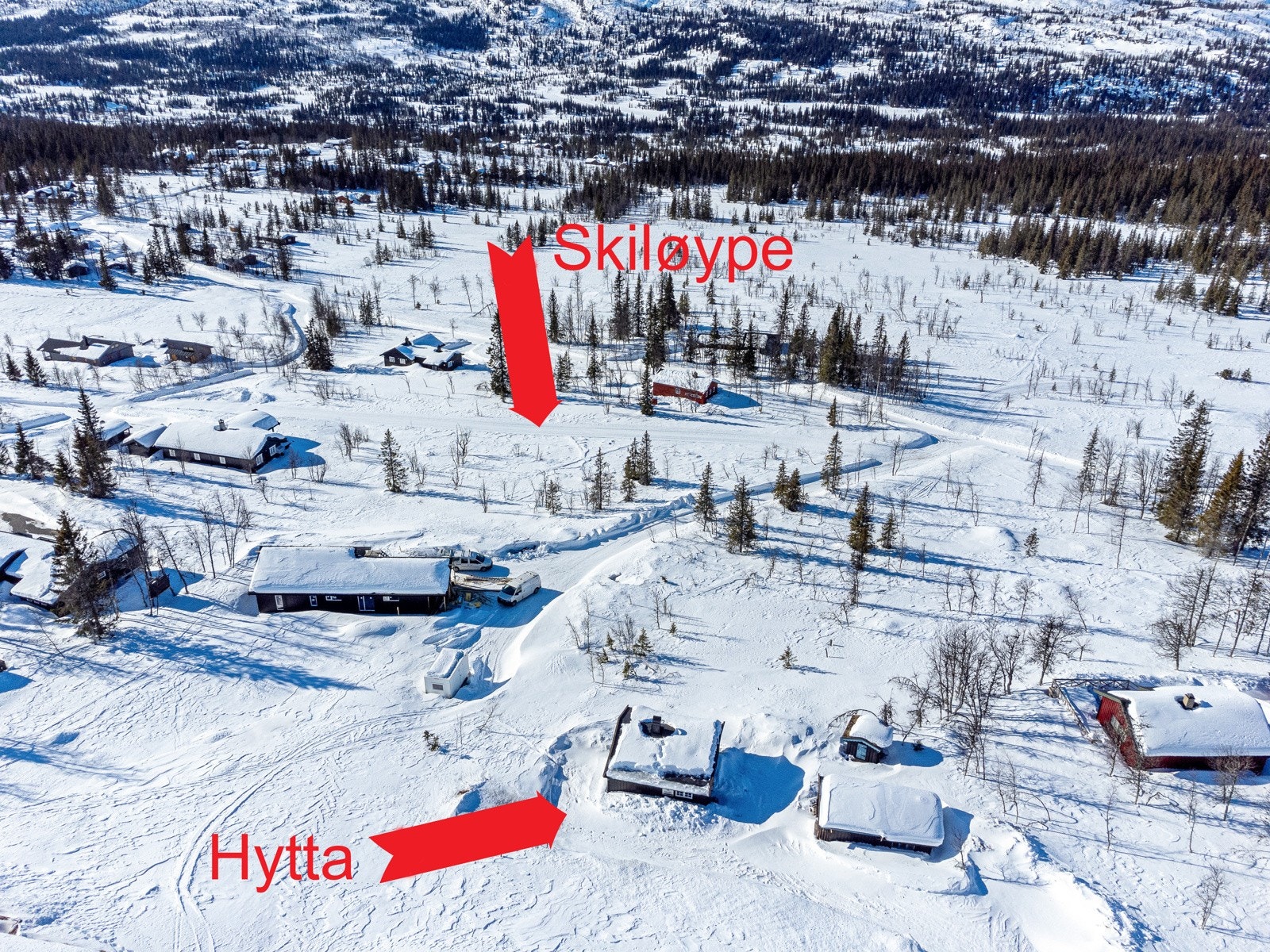 Flotte skiløyper i umiddelbar nærhet - her kan du gå milevis på ski om du ønsker det Galleribilde