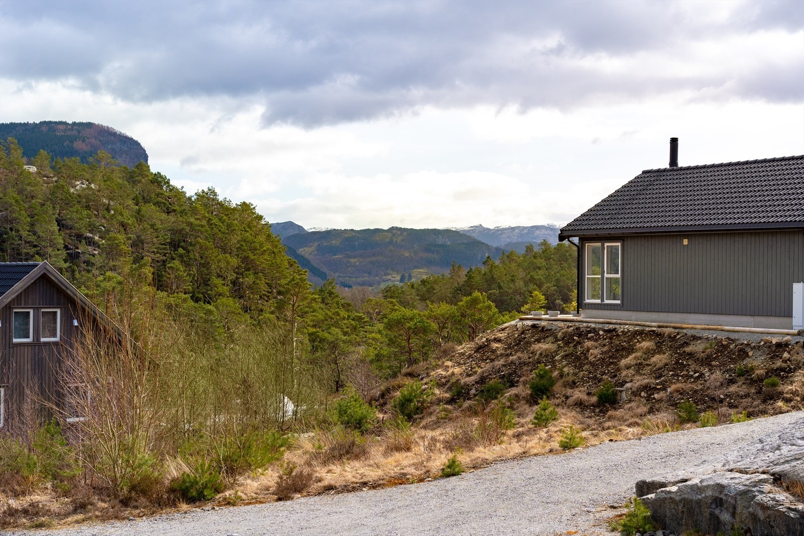 Tomtene har felles privat vei med kjørevei helt frem Galleribilde