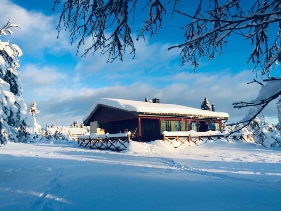 Kuåsen er et fint helårssted, men framfor alt ypperlig for deg som er glad i å gå på ski. Topp preparerte skiløyper tilgjengelig rett i nærheten. Galleribilde