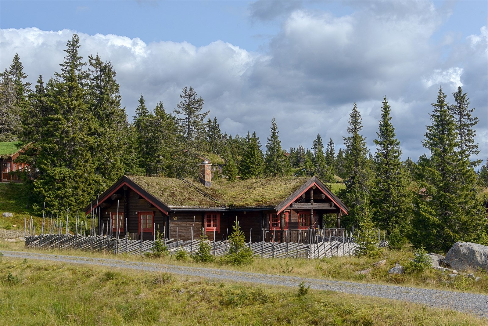 Lett adkomst til hytta fra felles vei i hytteområdet. Hytta ligger langs en blindvei. Galleribilde