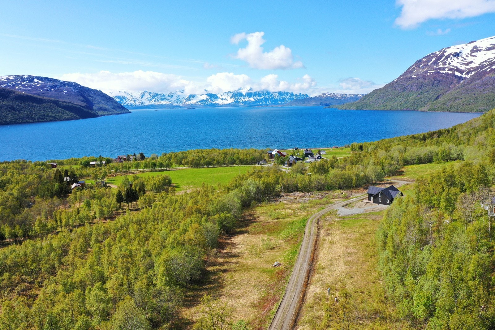 området Galleribilde