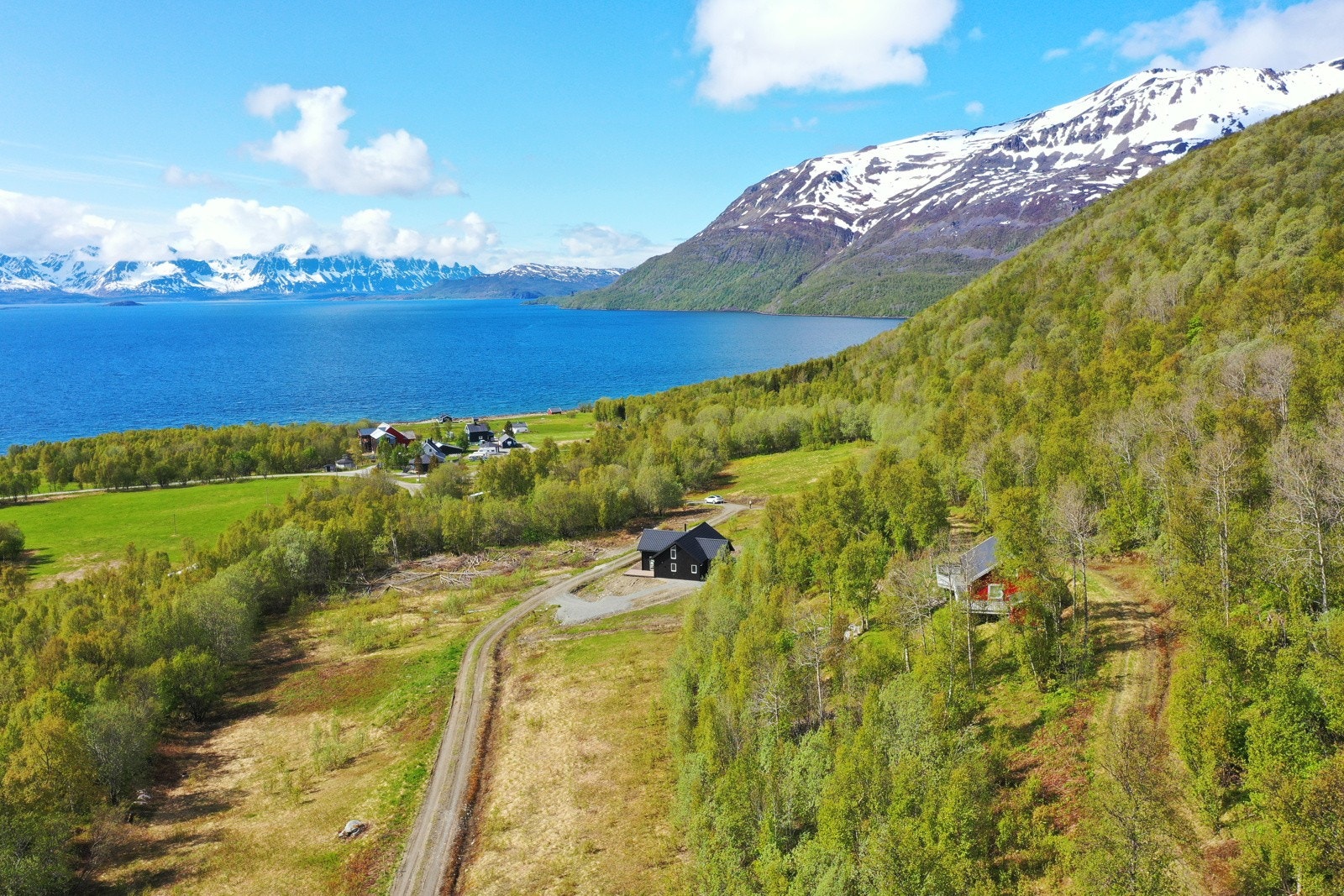Området Galleribilde