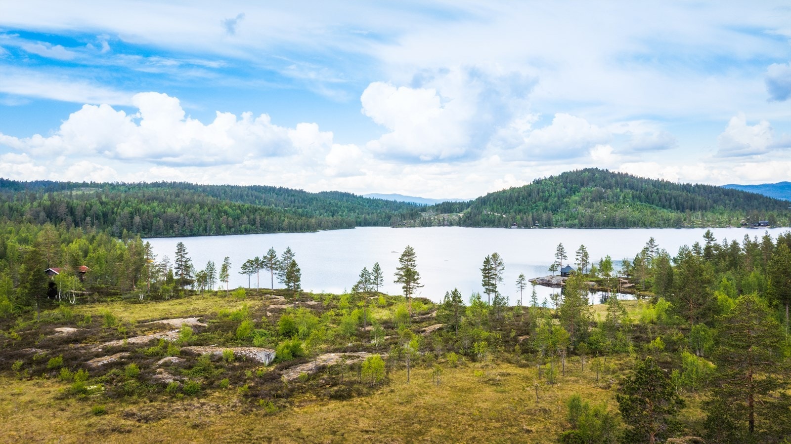 Naturskjønt område rett ved Nystulvatn, på Lifjell i Heddal Galleribilde