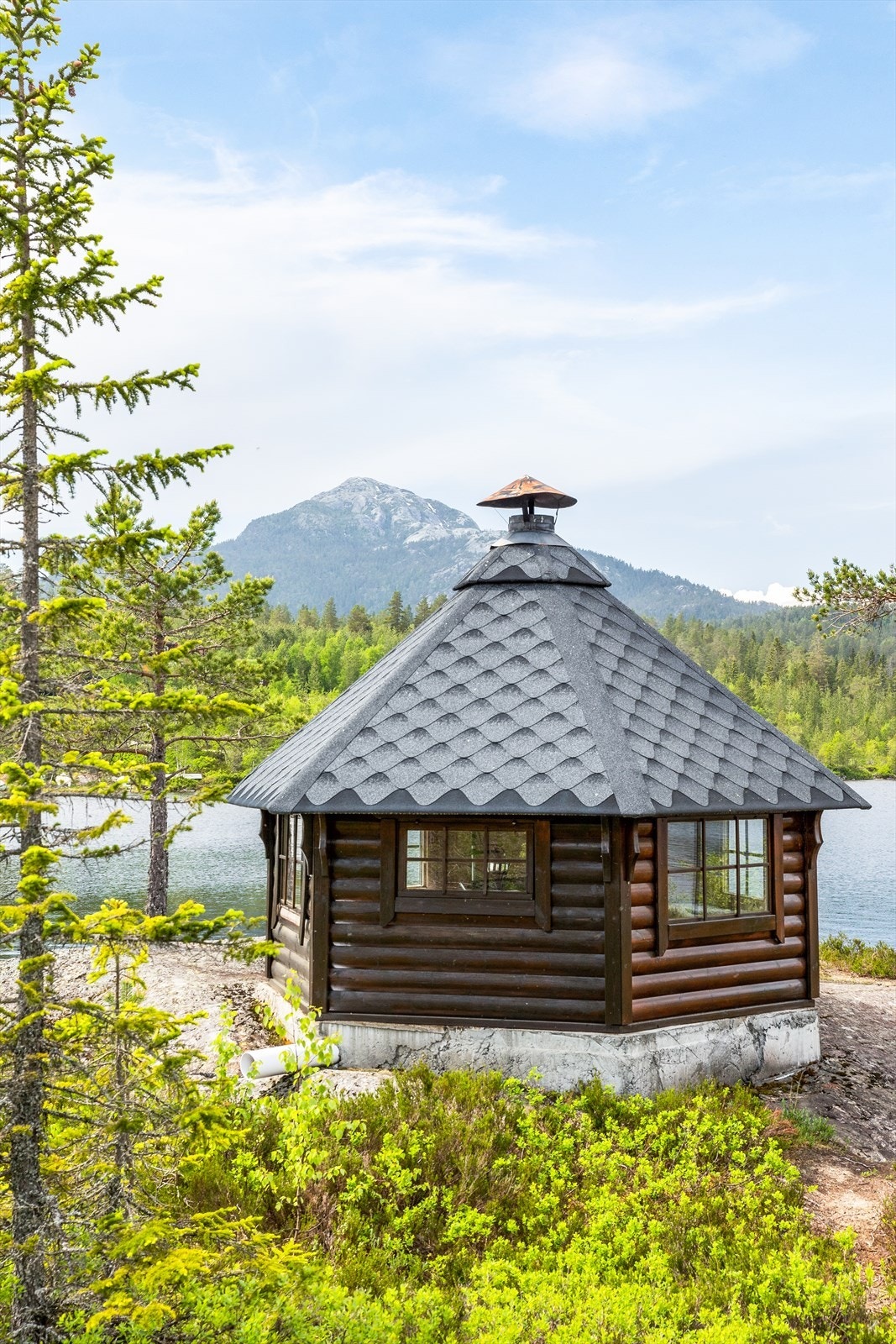 Nærområdet. Galleribilde