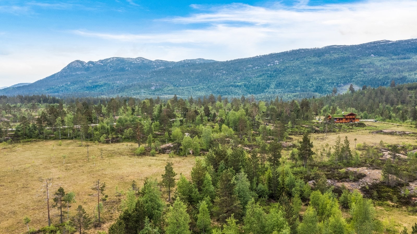 Flott, romslig tomt med god beliggenhet i feltet Galleribilde