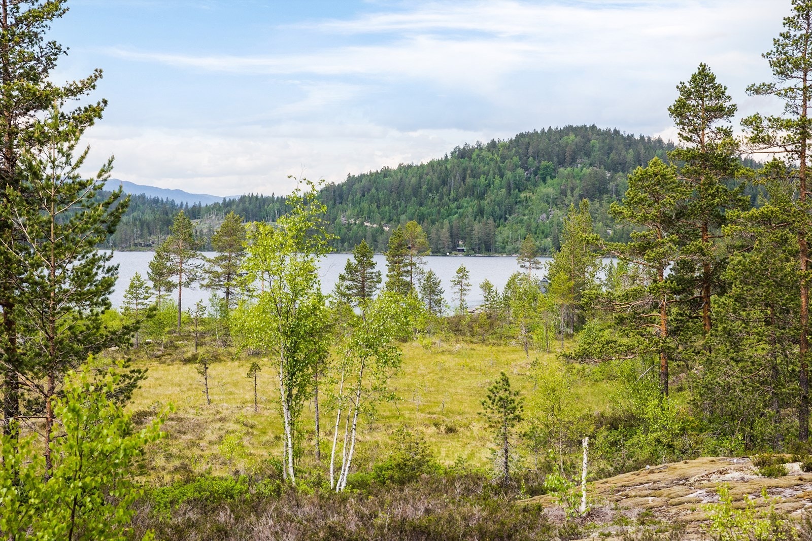 Tomt nr 4, Murtebu Galleribilde