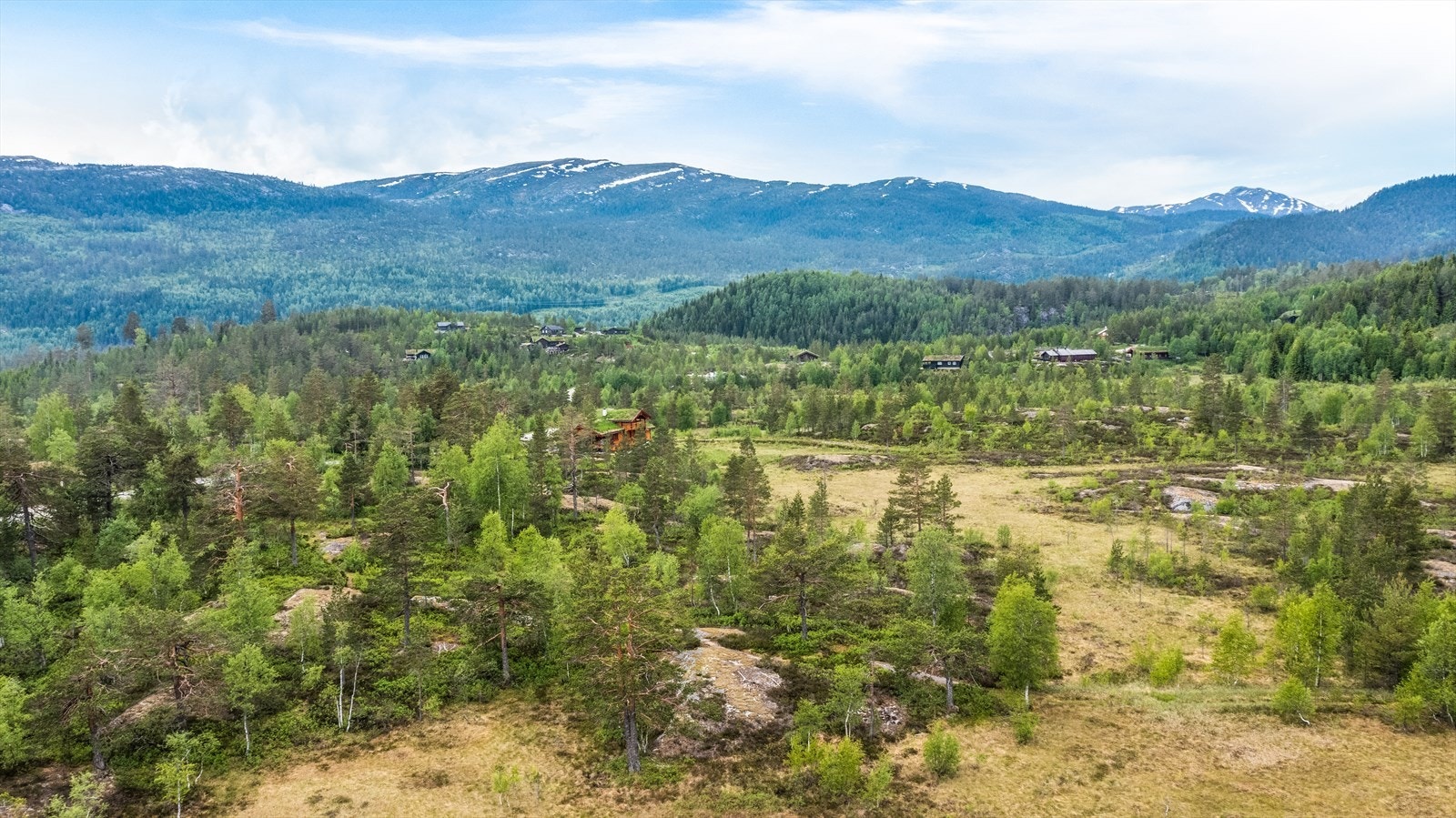 Tomt nr 4, Murtebu Galleribilde