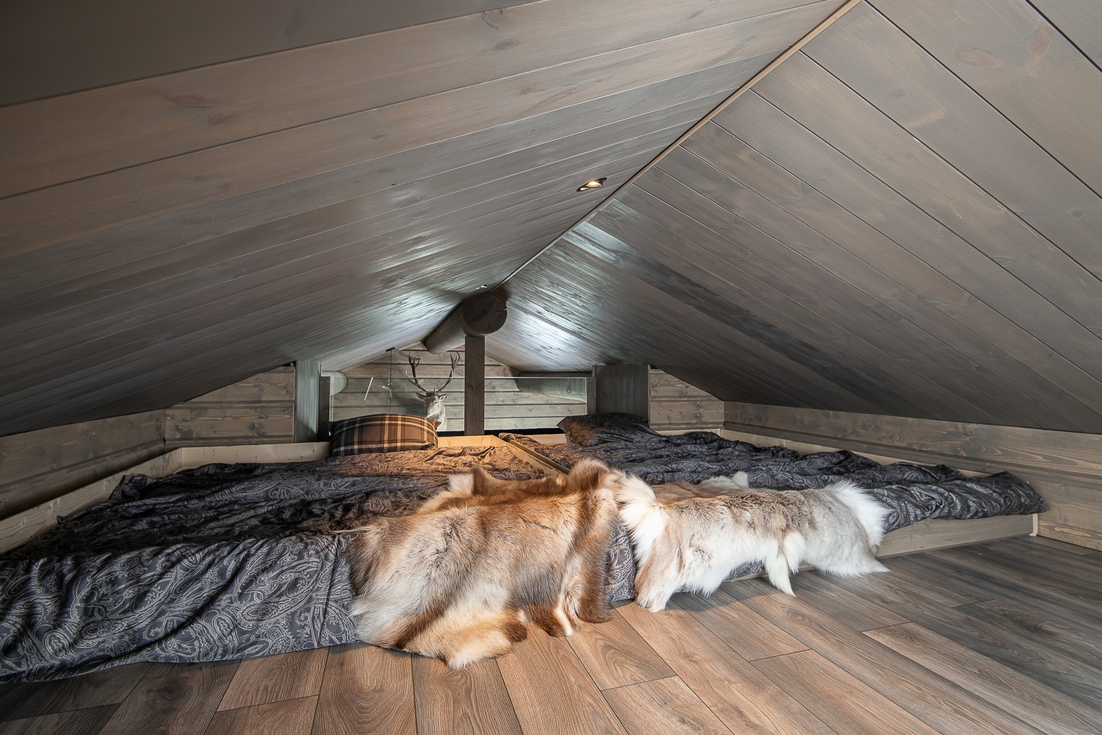 Ekstra soveplasser på hemsen ved behov. Galleribilde