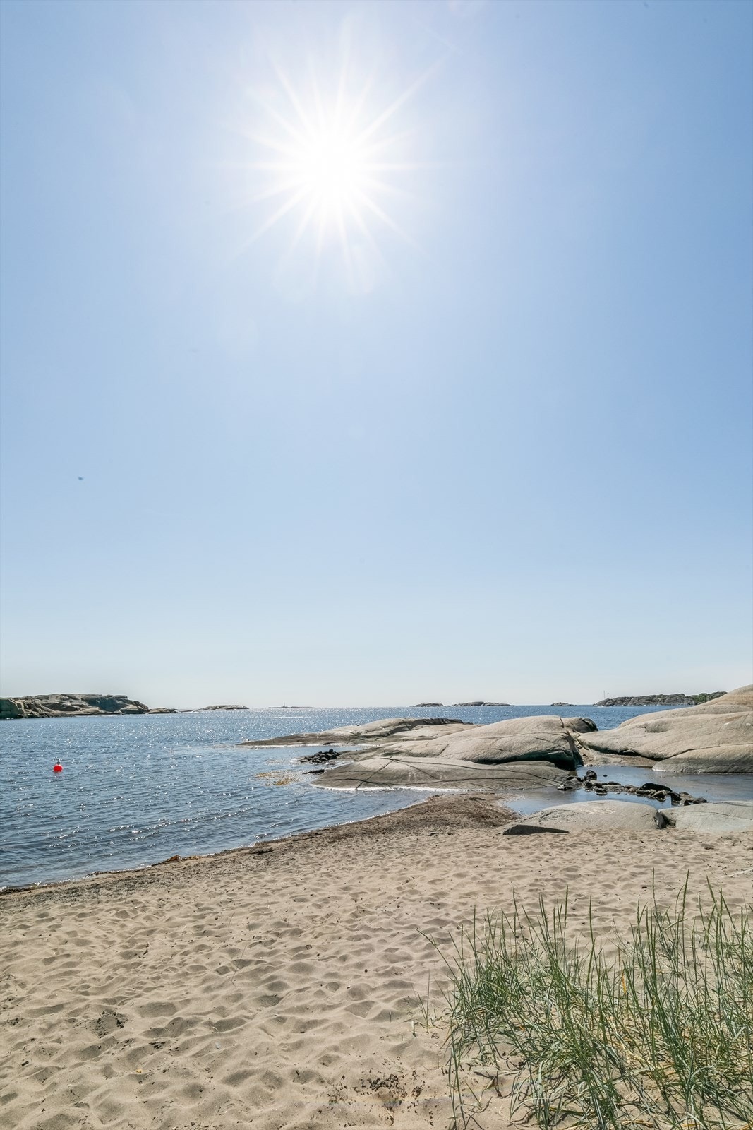 Bilde fra nærområdet. Galleribilde