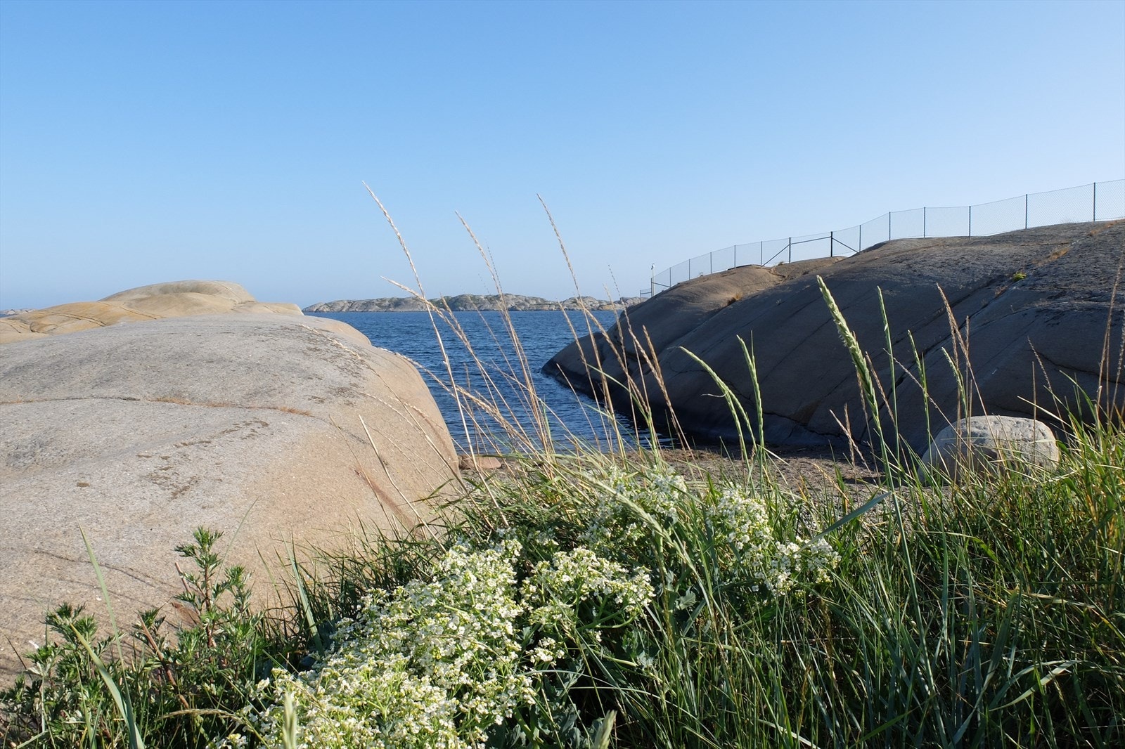 Nærområde Galleribilde