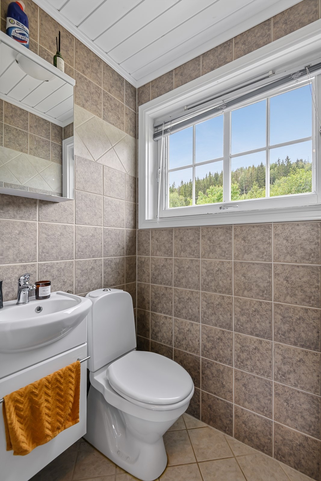 Separat toalettrom på hovedplan Galleribilde