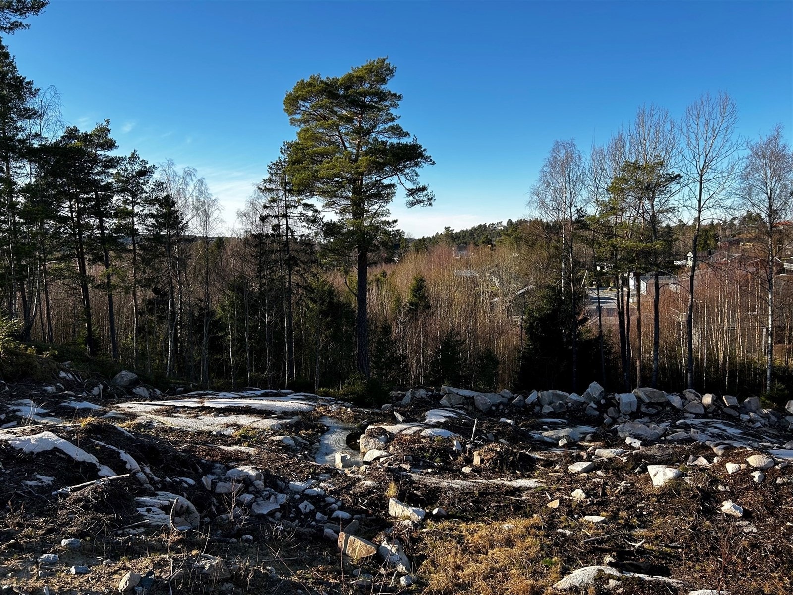 B 4.jpg Galleribilde