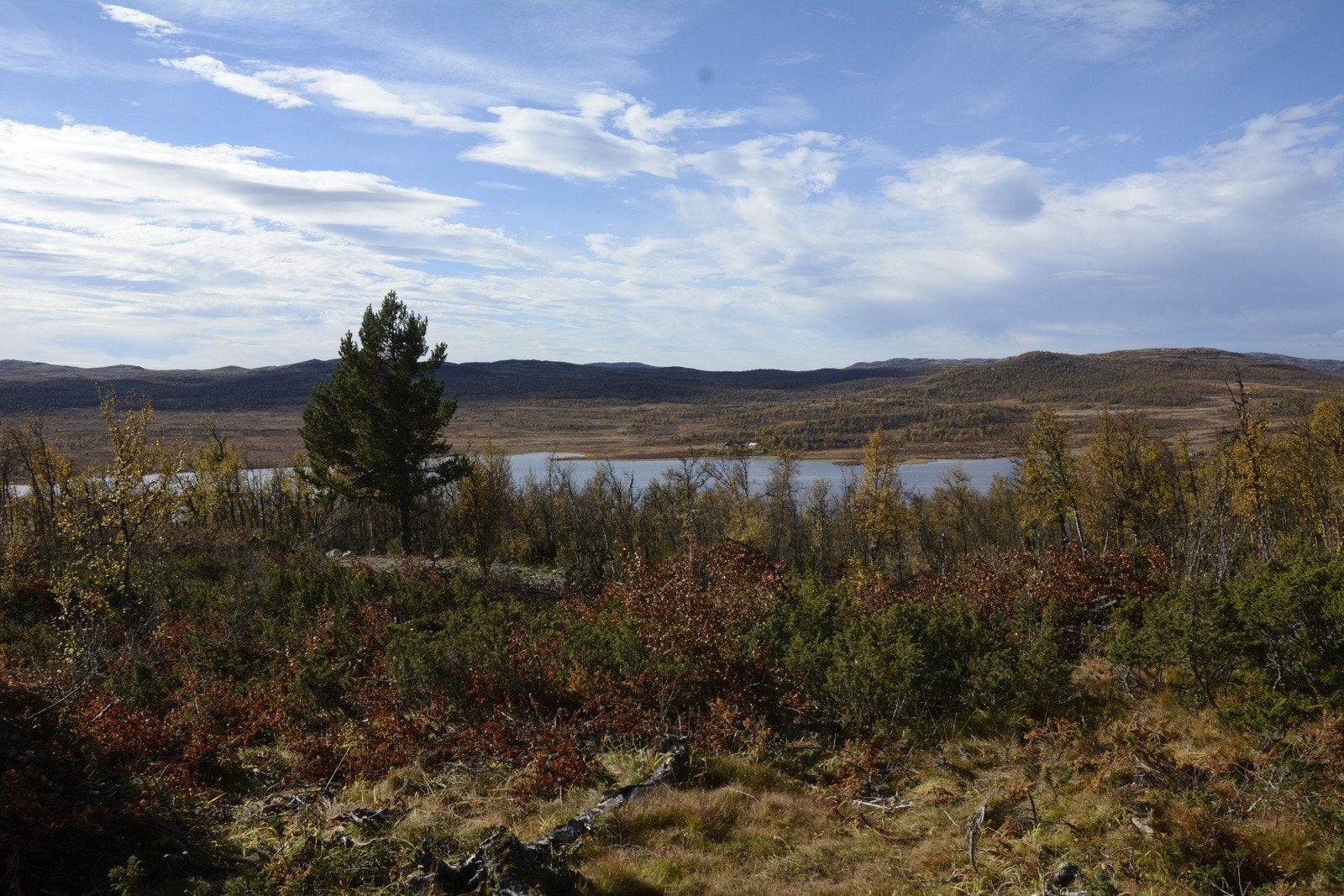 Områdebilde Galleribilde
