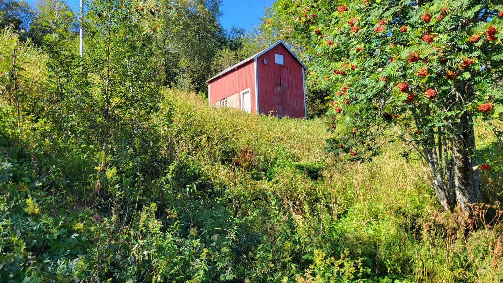 Gammel fjøs ovenfor tunet Galleribilde
