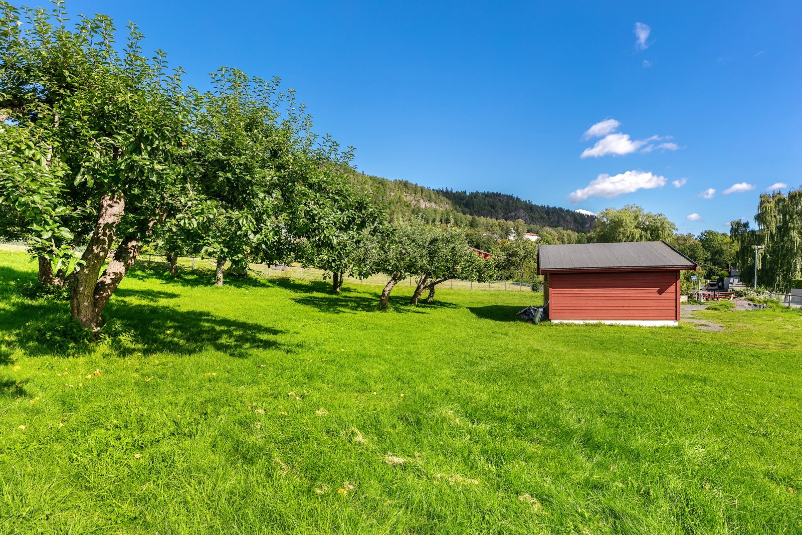 Nærområde Galleribilde