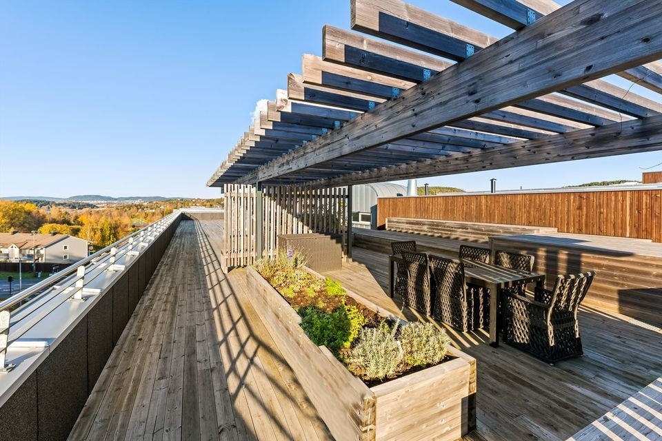 Felles takterrasse. Galleribilde