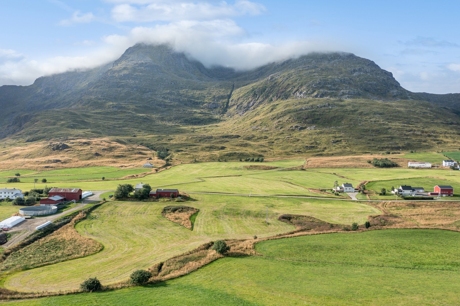 Område. Galleribilde