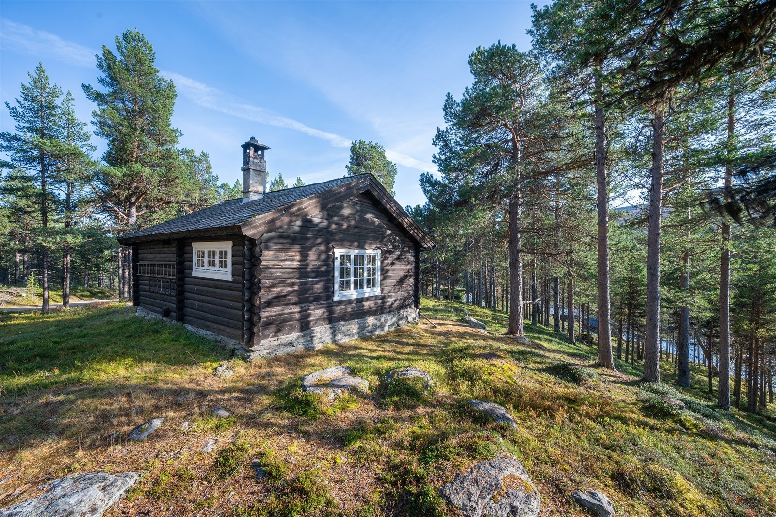 Det er mange fine turområder i området rundt hytta. Galleribilde